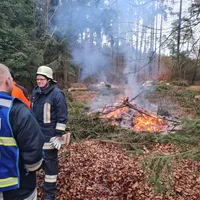 2024-12-03_B3-Waldbrand.jpg
